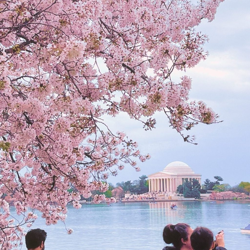 Top Things To Do In Washington,&nbsp;D.C.